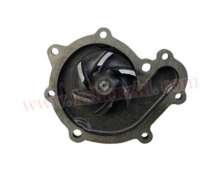 Forklift Parts SDWP10954/901096872 Engine Water Pump For Hyster/Yale HA 8K